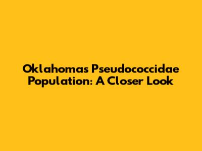 Oklahoma's Pseudococcidae Population: A Closer Look