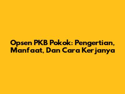 Opsen PKB Pokok: Pengertian, Manfaat, Dan Cara Kerjanya