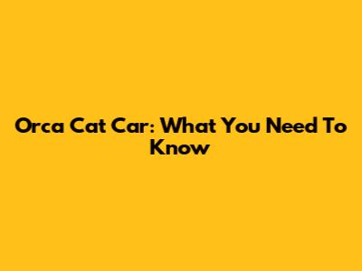 Orca Cat Car: What You Need To Know