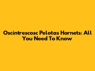 Oscintrescosc Pelotas Hornets: All You Need To Know