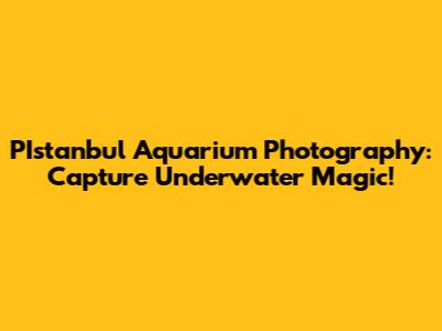 PIstanbul Aquarium Photography: Capture Underwater Magic!