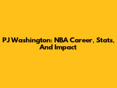 PJ Washington: NBA Career, Stats, And Impact