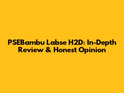 PSEBambu Labse H2D: In-Depth Review & Honest Opinion