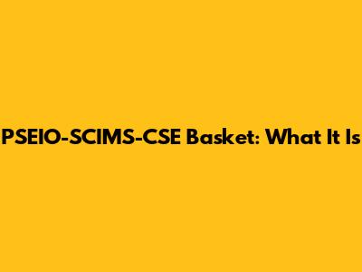 PSEIO-SCIMS-CSE Basket: What It Is