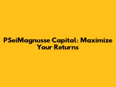 PSeiMagnusse Capital: Maximize Your Returns