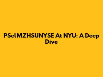 PSelMZHSUNYSE At NYU: A Deep Dive