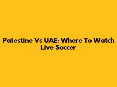 Palestine Vs UAE: Where To Watch Live Soccer