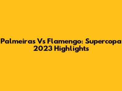 Palmeiras Vs Flamengo: Supercopa 2023 Highlights
