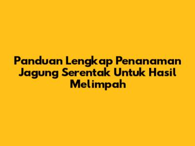 Panduan Lengkap Penanaman Jagung Serentak Untuk Hasil Melimpah