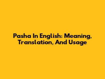 Pasha In English: Meaning, Translation, And Usage