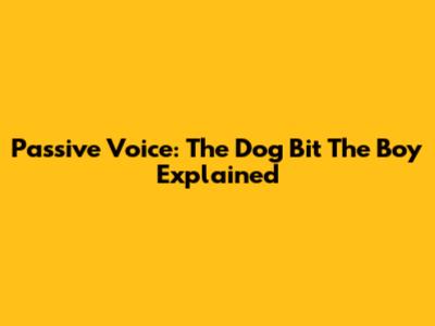 Passive Voice: 'The Dog Bit The Boy' Explained