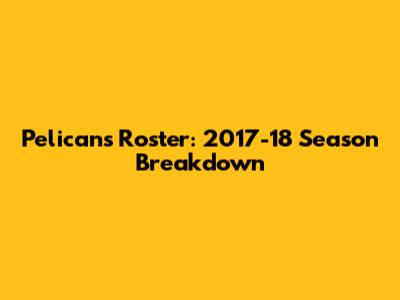 Pelicans Roster: 2017-18 Season Breakdown