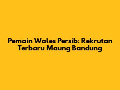 Pemain Wales Persib: Rekrutan Terbaru Maung Bandung
