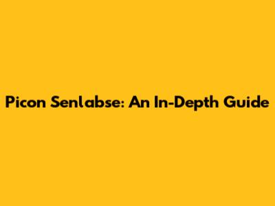 Picon Senlabse: An In-Depth Guide