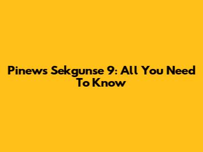 Pinews Sekgunse 9: All You Need To Know