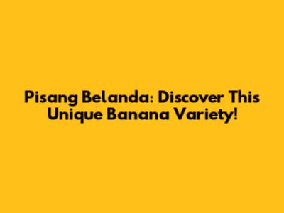 Pisang Belanda: Discover This Unique Banana Variety!