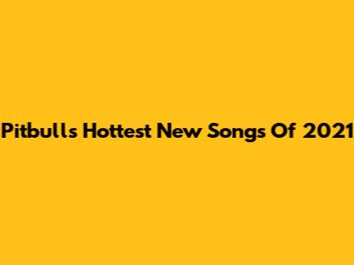 Pitbull's Hottest New Songs Of 2021