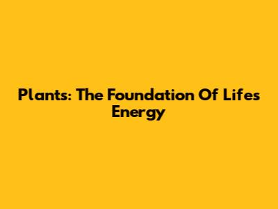 Plants: The Foundation Of Life's Energy