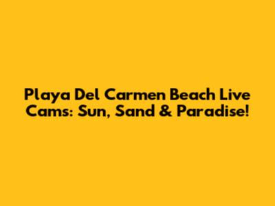 Playa Del Carmen Beach Live Cams: Sun, Sand & Paradise!