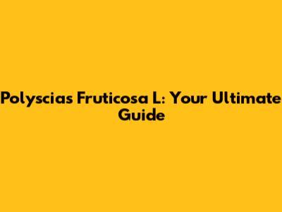 Polyscias Fruticosa L: Your Ultimate Guide