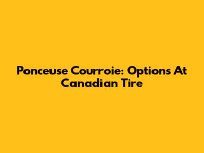 Ponceuse Courroie: Options At Canadian Tire