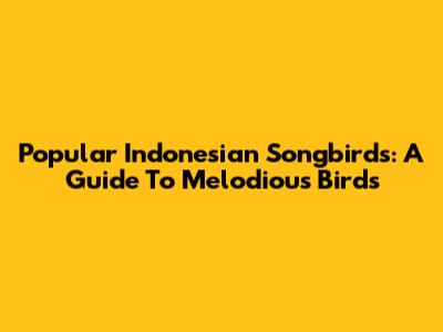Popular Indonesian Songbirds: A Guide To Melodious Birds