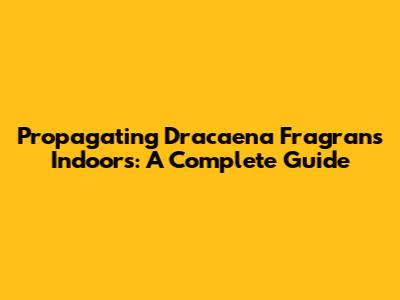 Propagating Dracaena Fragrans Indoors: A Complete Guide