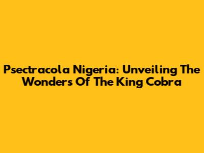 Psectracola Nigeria: Unveiling The Wonders Of The "King Cobra"