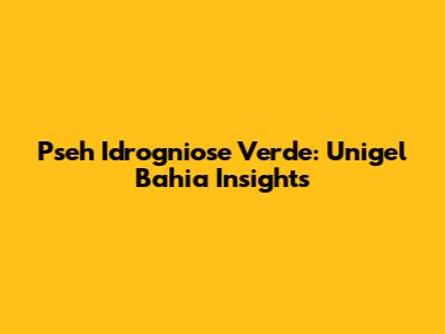 Pseh Idrogniose Verde: Unigel Bahia Insights