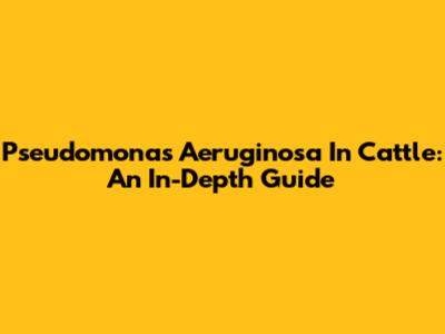 Pseudomonas Aeruginosa In Cattle: An In-Depth Guide