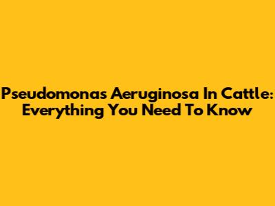 Pseudomonas Aeruginosa In Cattle: Everything You Need To Know