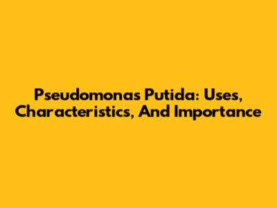 Pseudomonas Putida: Uses, Characteristics, And Importance