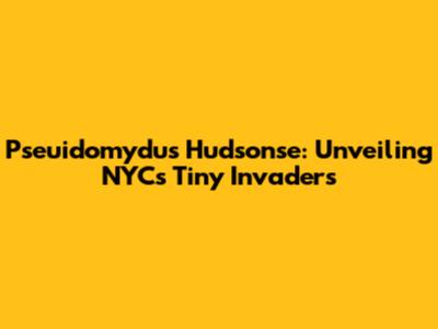 Pseuidomydus Hudsonse: Unveiling NYC's Tiny Invaders