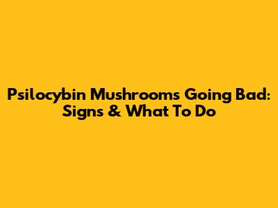 Psilocybin Mushrooms Going Bad: Signs & What To Do