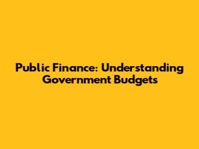 Public Finance: Understanding Government Budgets