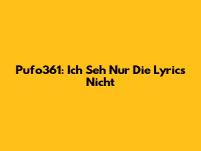 Pufo361: Ich Seh Nur Die Lyrics Nicht