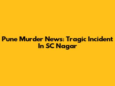 Pune Murder News: Tragic Incident In SC Nagar