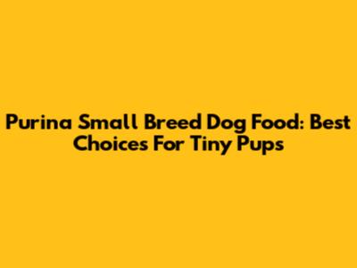 Purina Small Breed Dog Food: Best Choices For Tiny Pups