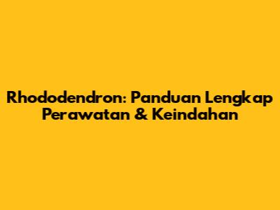 Rhododendron: Panduan Lengkap Perawatan & Keindahan