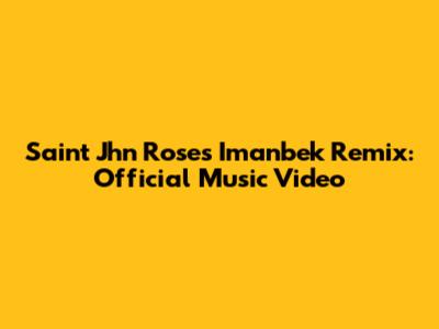 Saint Jhn Roses Imanbek Remix: Official Music Video