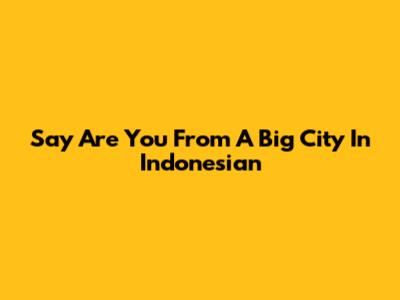 Say "Are You From A Big City" In Indonesian
