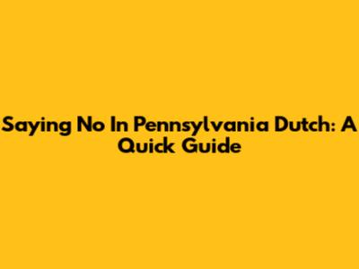 Saying 'No' In Pennsylvania Dutch: A Quick Guide