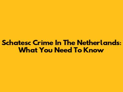 Schatesc Crime In The Netherlands: What You Need To Know