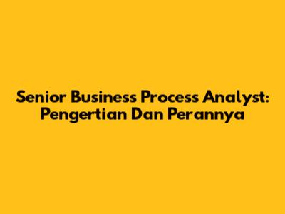 Senior Business Process Analyst: Pengertian Dan Perannya