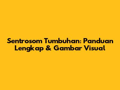 Sentrosom Tumbuhan: Panduan Lengkap & Gambar Visual