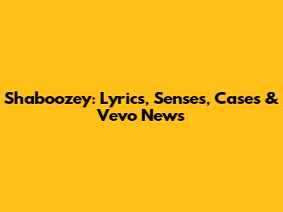 Shaboozey: Lyrics, Senses, Cases & Vevo News