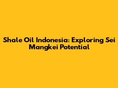 Shale Oil Indonesia: Exploring Sei Mangkei Potential