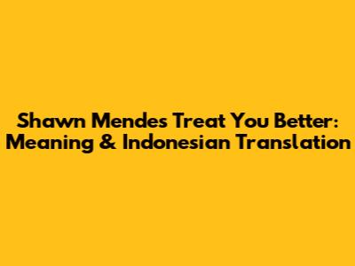 Shawn Mendes' 'Treat You Better': Meaning & Indonesian Translation