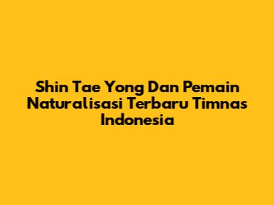 Shin Tae Yong Dan Pemain Naturalisasi Terbaru Timnas Indonesia
