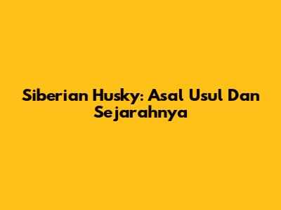 Siberian Husky: Asal Usul Dan Sejarahnya